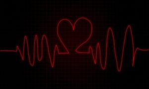 cardio ejercicios
